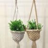 Colourful boho planters